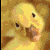 892.gif